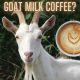 Goat Milk Coffee